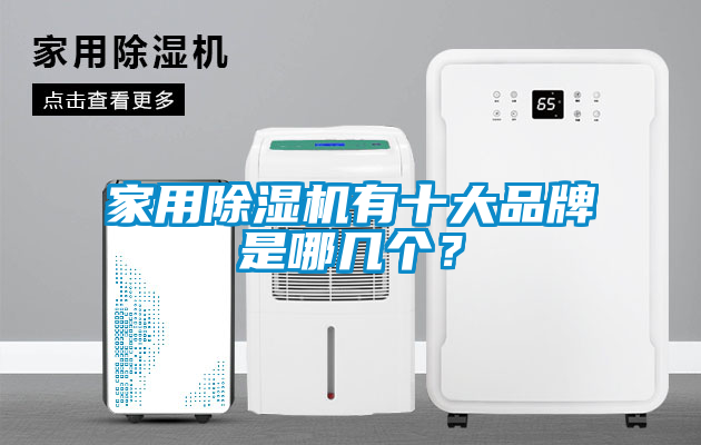 家用除濕機有十大品牌是哪幾個？