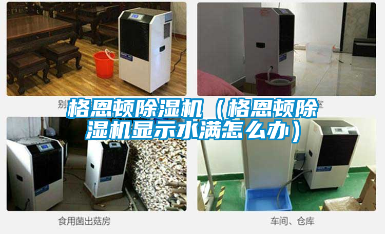 格恩頓除濕機(jī)（格恩頓除濕機(jī)顯示水滿(mǎn)怎么辦）
