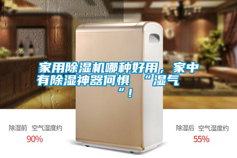 家用除濕機哪種好用，家中有除濕神器何懼 “濕氣 “！