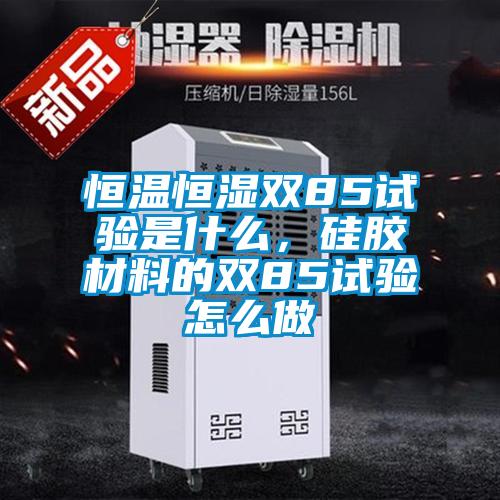 恒溫恒濕雙85試驗是什么，硅膠材料的雙85試驗怎么做
