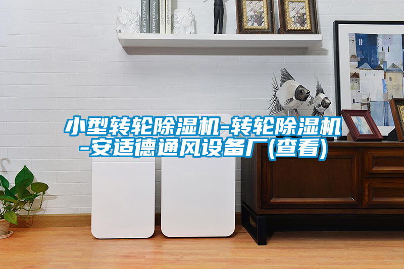 小型轉(zhuǎn)輪除濕機-轉(zhuǎn)輪除濕機-安適德通風設(shè)備廠(查看)