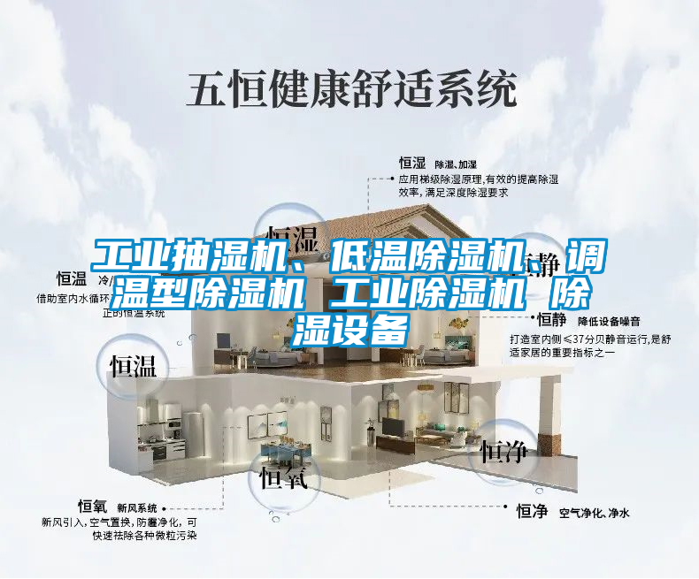 工業(yè)抽濕機(jī)、低溫除濕機(jī)、調(diào)溫型除濕機(jī) 工業(yè)除濕機(jī) 除濕設(shè)備