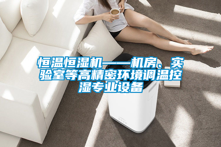 恒溫恒濕機(jī)——機(jī)房、實(shí)驗(yàn)室等高精密環(huán)境調(diào)溫控濕專業(yè)設(shè)備