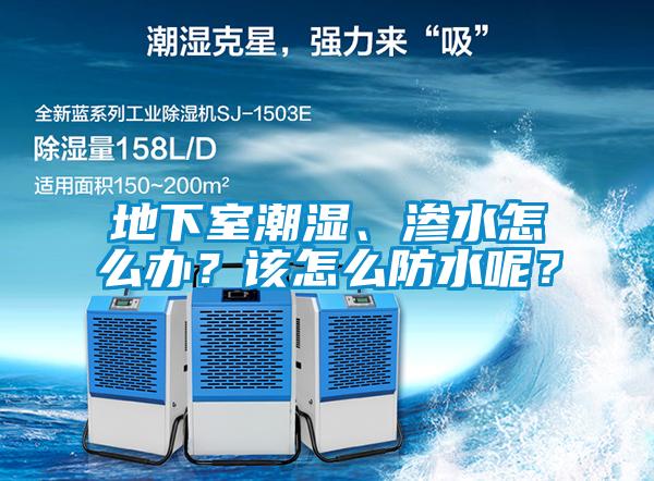 地下室潮濕、滲水怎么辦？該怎么防水呢？