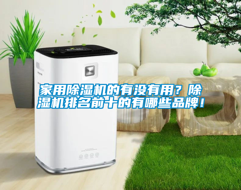家用除濕機(jī)的有沒有用？除濕機(jī)排名前十的有哪些品牌！