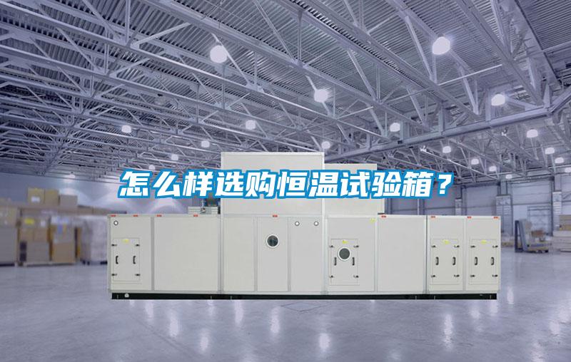怎么樣選購恒溫試驗箱？