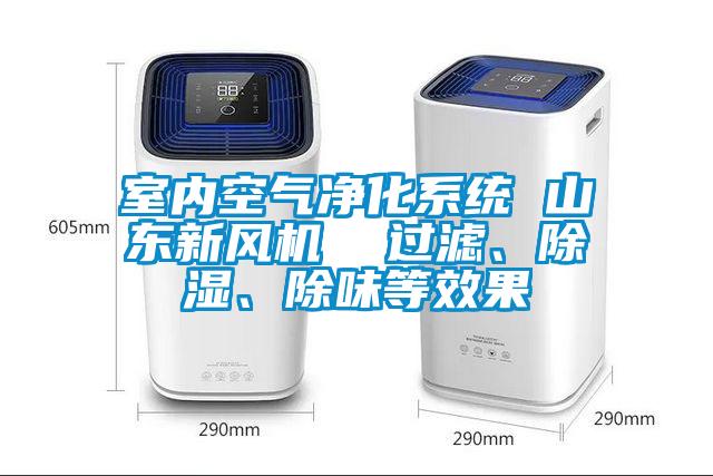 室內(nèi)空氣凈化系統(tǒng) 山東新風機  過濾、除濕、除味等效果