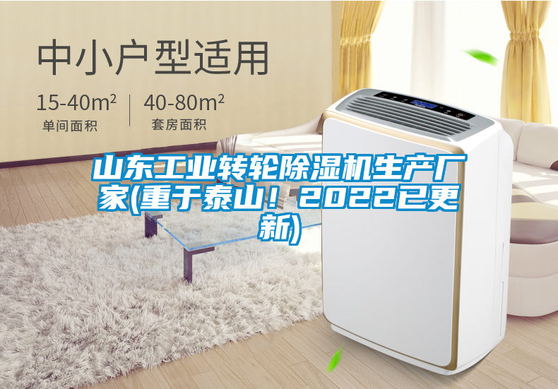 山東工業(yè)轉(zhuǎn)輪除濕機(jī)生產(chǎn)廠家(重于泰山！2022已更新)
