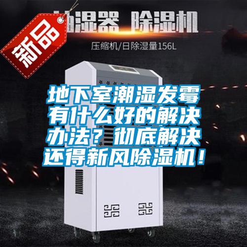 地下室潮濕發(fā)霉有什么好的解決辦法？徹底解決還得新風(fēng)除濕機(jī)！