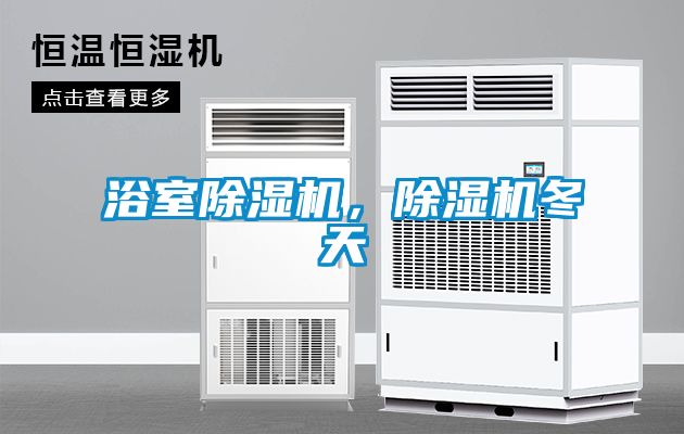 浴室除濕機，除濕機冬天