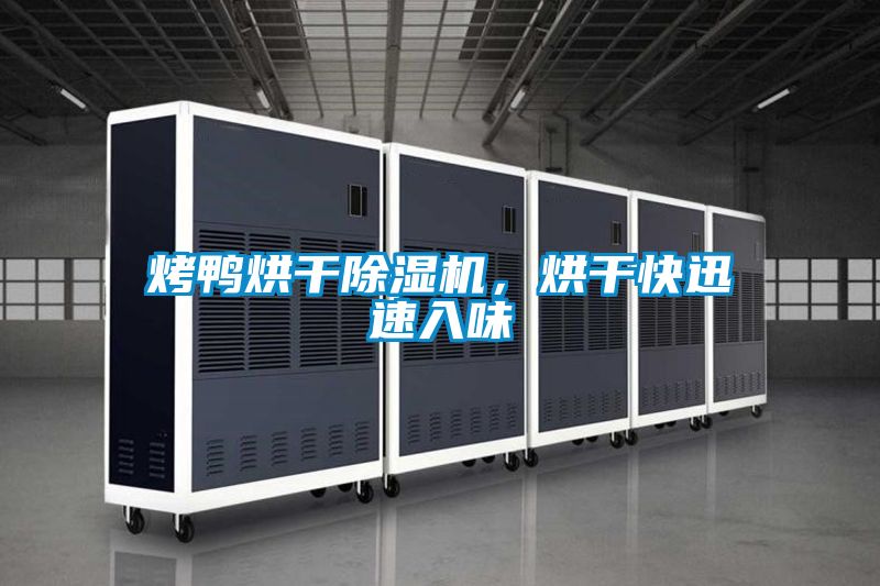 烤鴨烘干除濕機(jī)，烘干快迅速入味