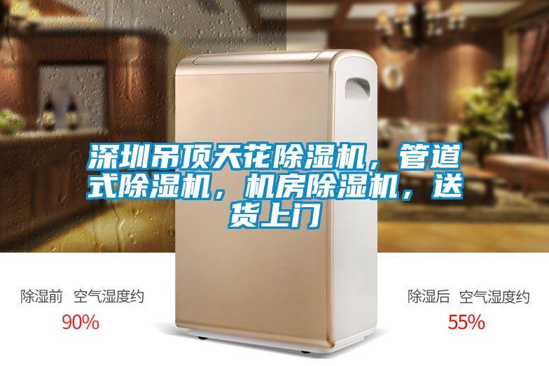 深圳吊頂天花除濕機(jī)，管道式除濕機(jī)，機(jī)房除濕機(jī)，送貨上門