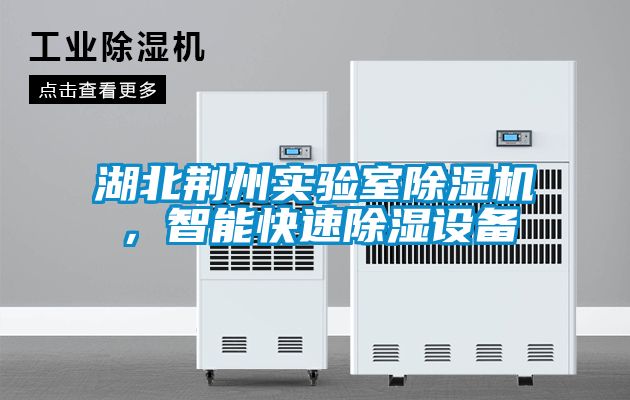 湖北荊州實(shí)驗(yàn)室除濕機(jī)，智能快速除濕設(shè)備