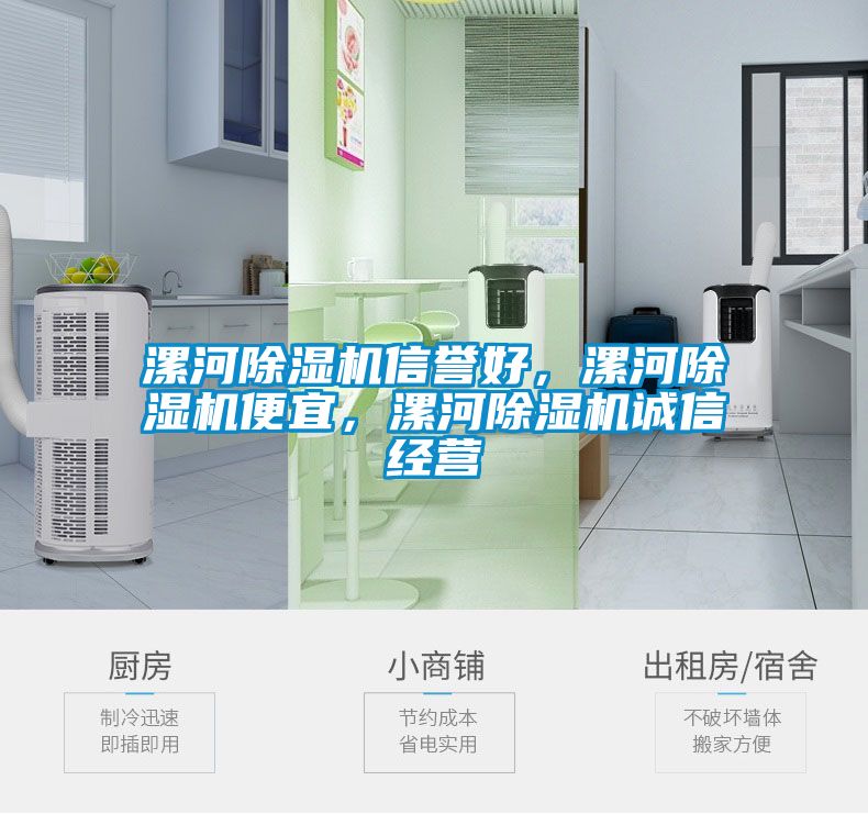 漯河除濕機(jī)信譽(yù)好，漯河除濕機(jī)便宜，漯河除濕機(jī)誠(chéng)信經(jīng)營(yíng)