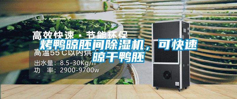 烤鴨晾胚間除濕機，可快速晾干鴨胚