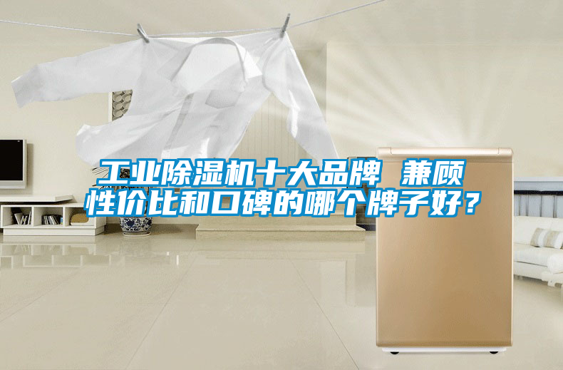 工業(yè)除濕機(jī)十大品牌 兼顧性價比和口碑的哪個牌子好？