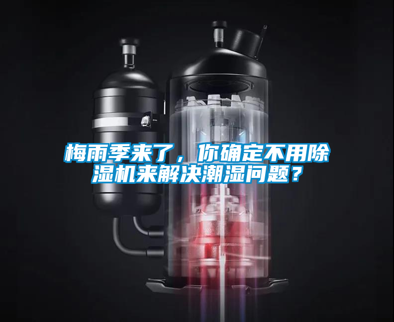 梅雨季來了，你確定不用除濕機來解決潮濕問題？