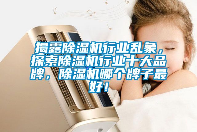 揭露除濕機(jī)行業(yè)亂象，探索除濕機(jī)行業(yè)十大品牌，除濕機(jī)哪個(gè)牌子最好！