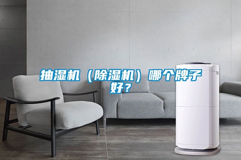 抽濕機(jī)（除濕機(jī)）哪個牌子好？