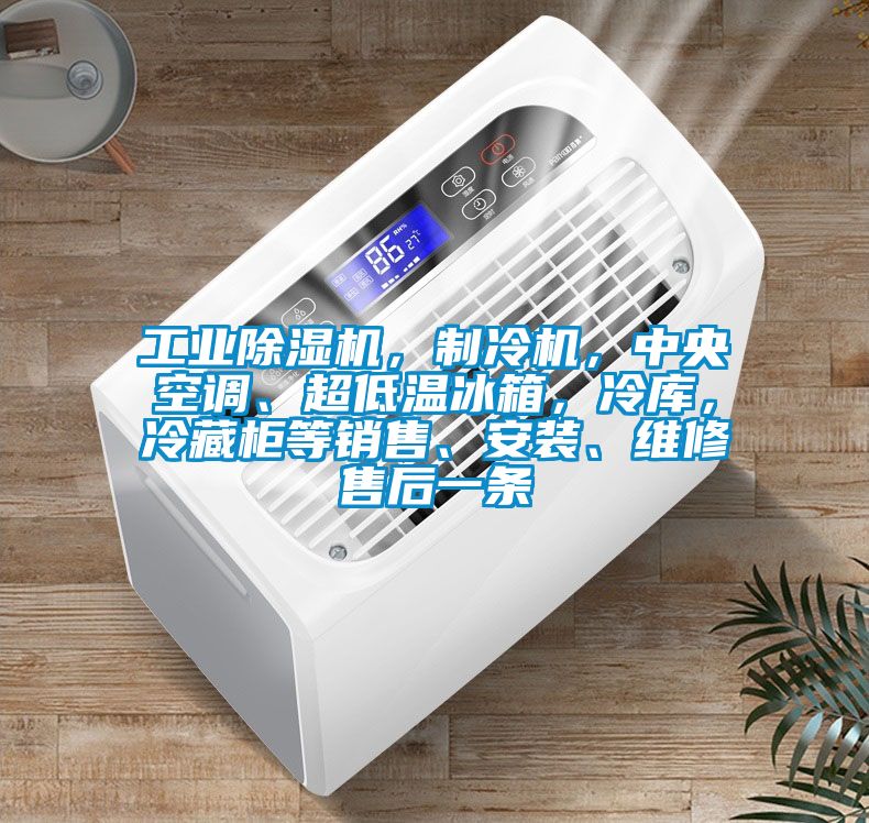 工業(yè)除濕機，制冷機，中央空調(diào)、超低溫冰箱，冷庫，冷藏柜等銷售、安裝、維修售后一條