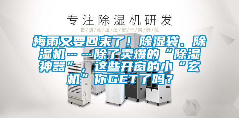 梅雨又要回來了！除濕袋、除濕機(jī)……除了賣爆的“除濕神器”，這些開窗的小“玄機(jī)”你GET了嗎？