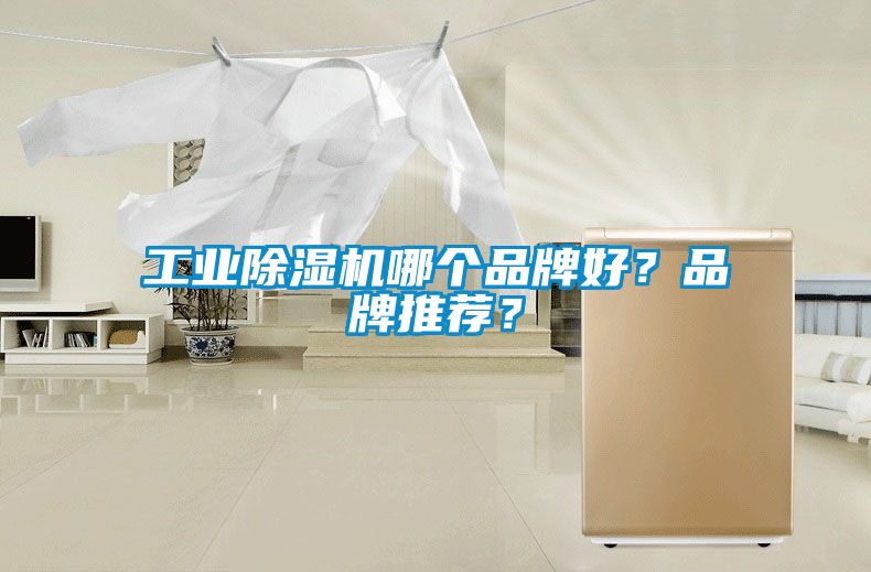 工業(yè)除濕機(jī)哪個(gè)品牌好？品牌推薦？