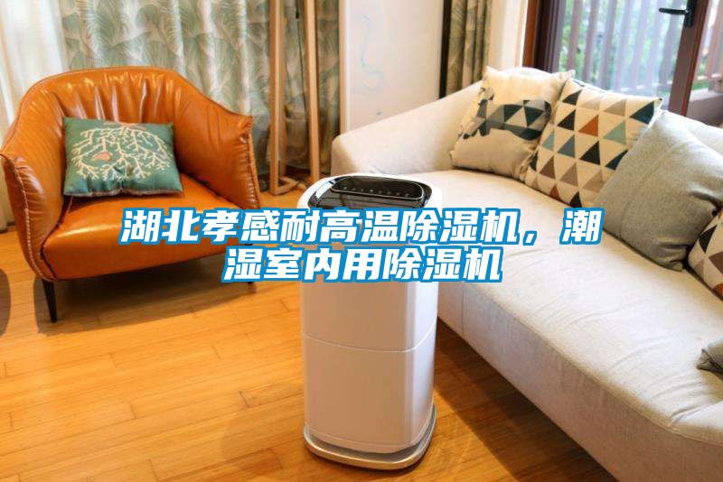 湖北孝感耐高溫除濕機，潮濕室內(nèi)用除濕機