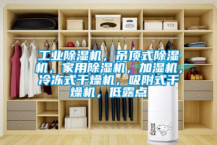 工業(yè)除濕機，吊頂式除濕機，家用除濕機，加濕機，冷凍式干燥機，吸附式干燥機，低露點