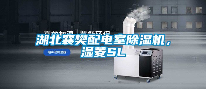 湖北襄樊配電室除濕機(jī)，濕菱SL