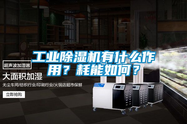 工業(yè)除濕機(jī)有什么作用？耗能如何？