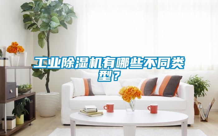 工業(yè)除濕機(jī)有哪些不同類型？
