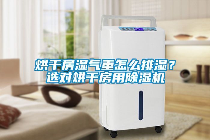 烘干房濕氣重怎么排濕？選對烘干房用除濕機