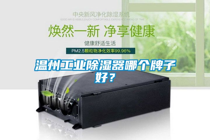 溫州工業(yè)除濕器哪個牌子好？