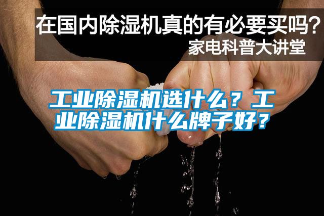 工業(yè)除濕機(jī)選什么？工業(yè)除濕機(jī)什么牌子好？