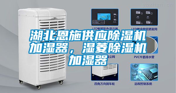 湖北恩施供應除濕機加濕器，濕菱除濕機加濕器