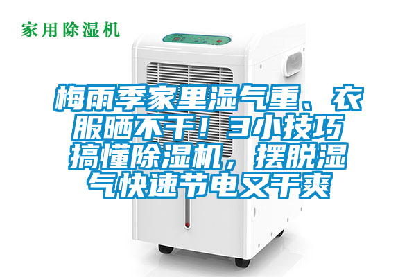 梅雨季家里濕氣重、衣服曬不干！3小技巧搞懂除濕機(jī)，擺脫濕氣快速節(jié)電又干爽
