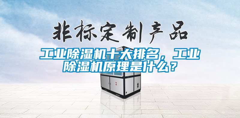 工業(yè)除濕機(jī)十大排名，工業(yè)除濕機(jī)原理是什么？