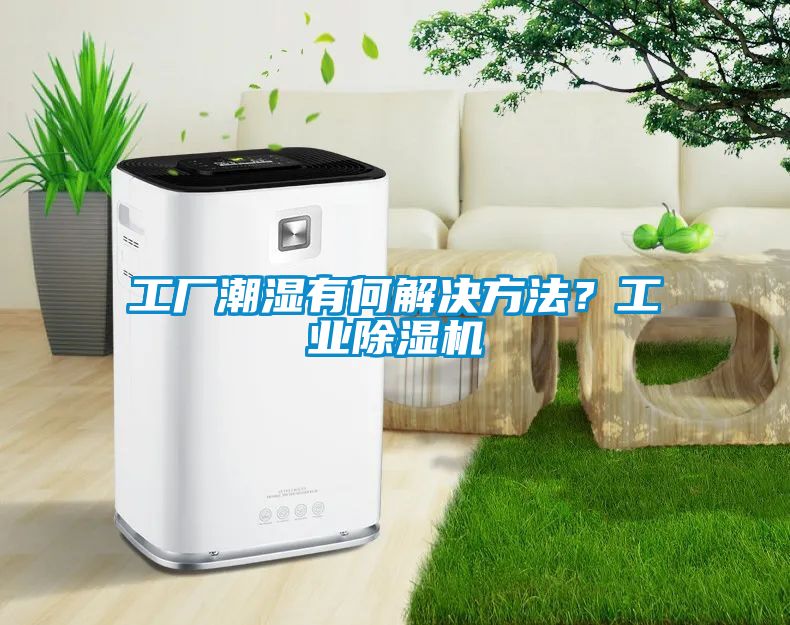 工廠潮濕有何解決方法？工業(yè)除濕機