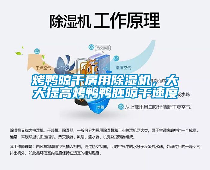 烤鴨晾干房用除濕機(jī)，大大提高烤鴨鴨胚晾干速度