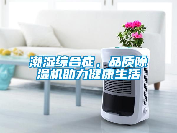 潮濕綜合癥，品質(zhì)除濕機助力健康生活