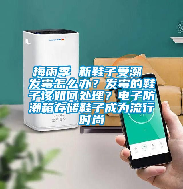 梅雨季 新鞋子受潮 發(fā)霉怎么辦？發(fā)霉的鞋子該如何處理？電子防潮箱存儲鞋子成為流行時尚