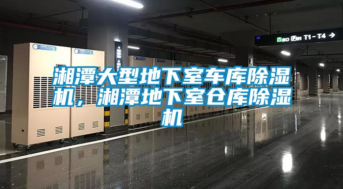 湘潭大型地下室車庫(kù)除濕機(jī)，湘潭地下室倉(cāng)庫(kù)除濕機(jī)