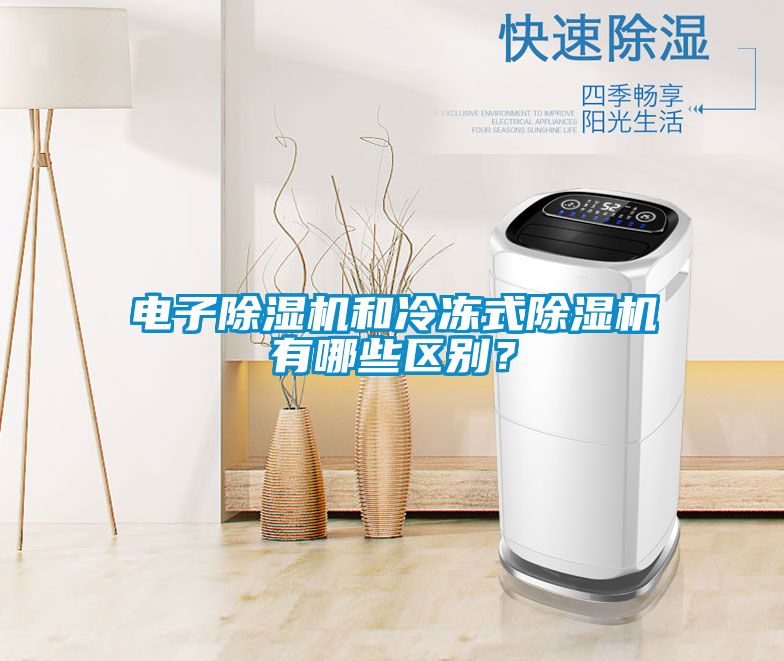 電子除濕機(jī)和冷凍式除濕機(jī)有哪些區(qū)別？
