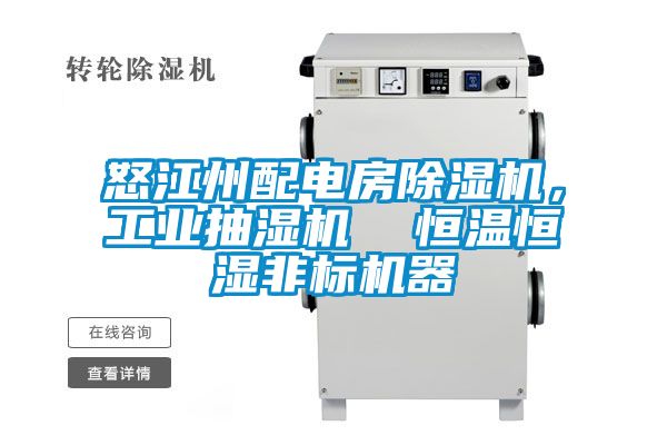 怒江州配電房除濕機，工業(yè)抽濕機  恒溫恒濕非標機器