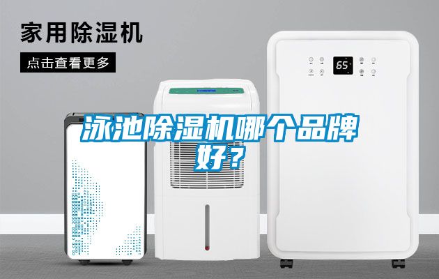 泳池除濕機(jī)哪個(gè)品牌好？