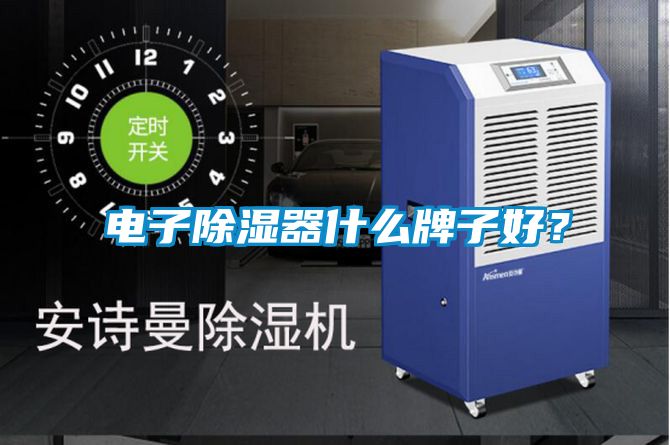 電子除濕器什么牌子好？