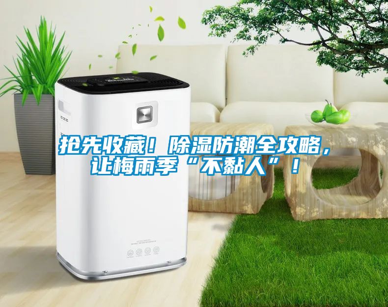 搶先收藏！除濕防潮全攻略，讓梅雨季“不黏人”！