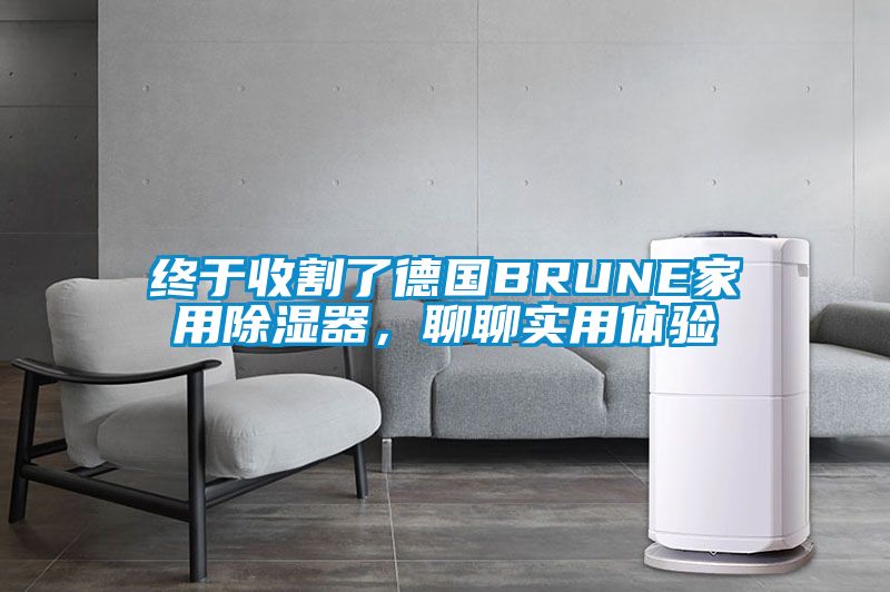 終于收割了德國BRUNE家用除濕器，聊聊實(shí)用體驗(yàn)