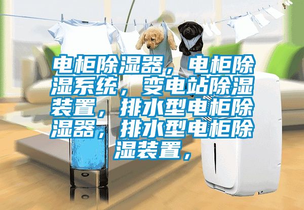 電柜除濕器，電柜除濕系統(tǒng)，變電站除濕裝置，排水型電柜除濕器，排水型電柜除濕裝置，