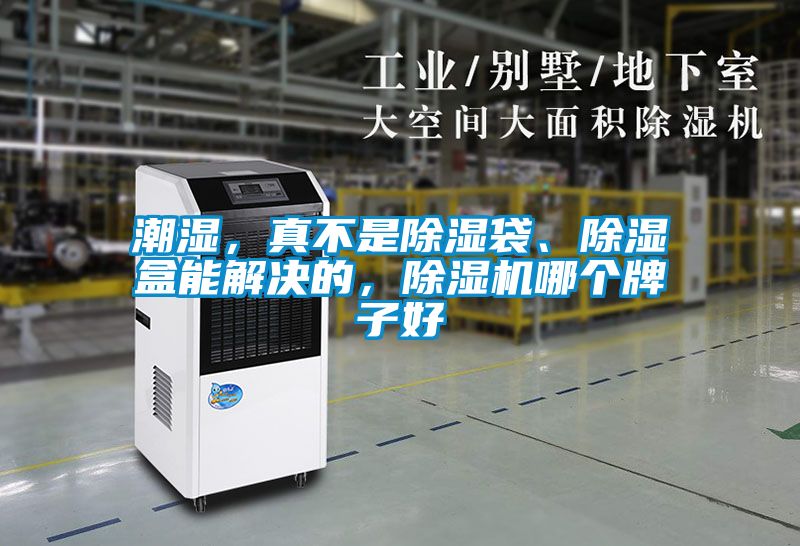 潮濕，真不是除濕袋、除濕盒能解決的，除濕機(jī)哪個(gè)牌子好